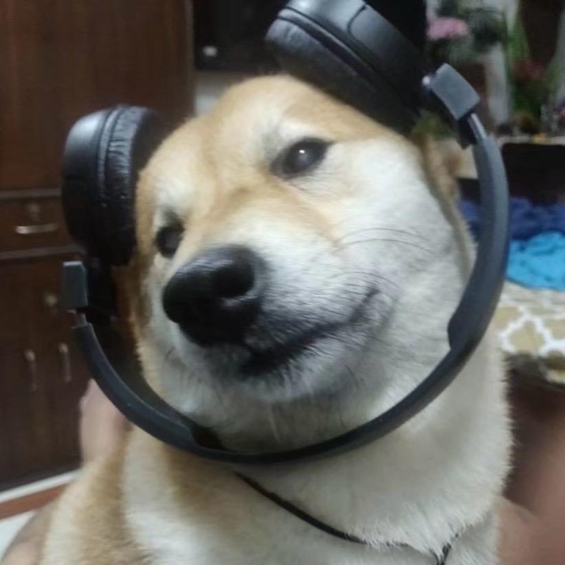 聋的传人