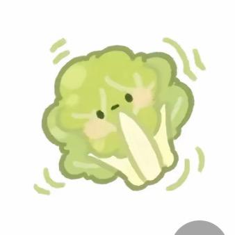 夹在汉堡里的生菜🥬