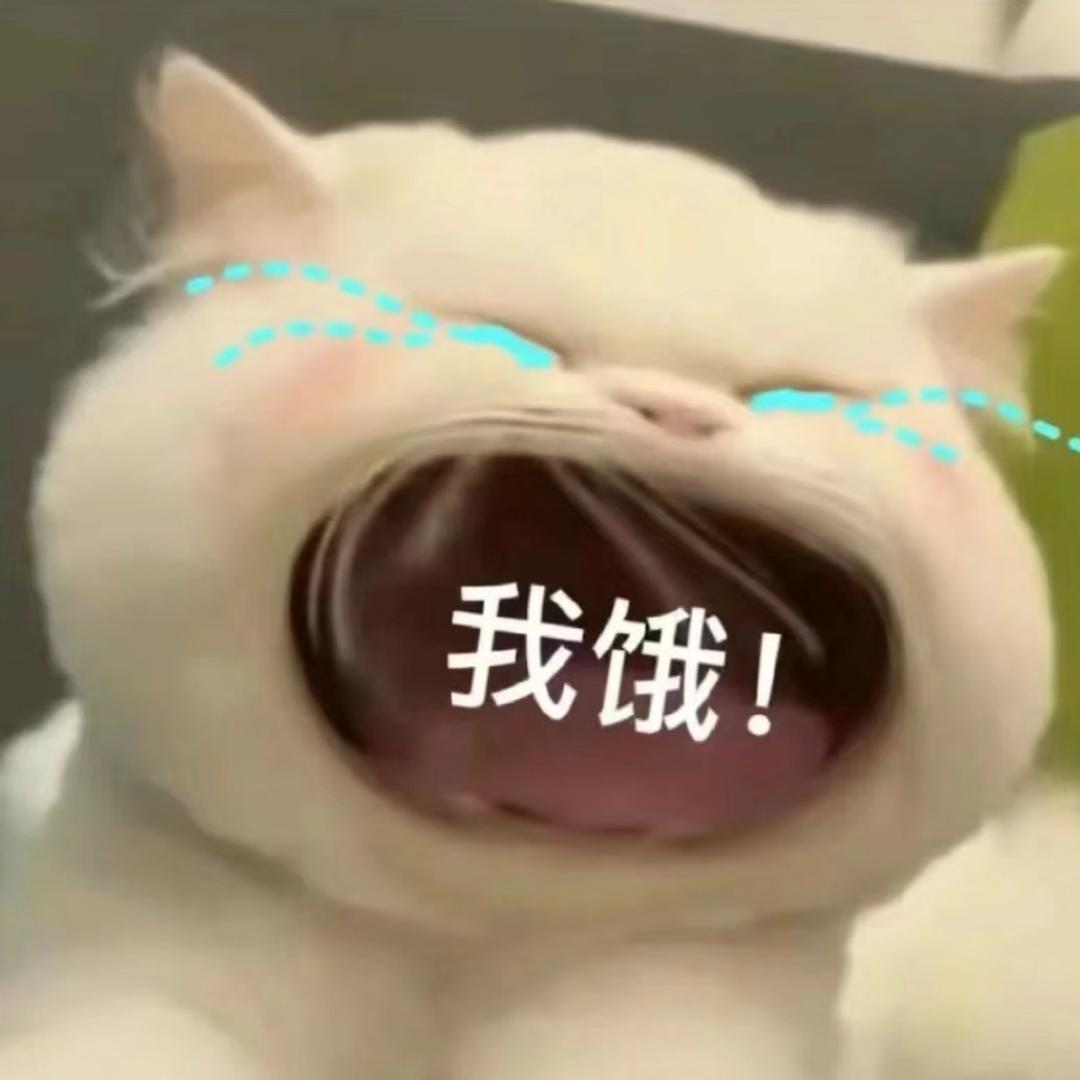 小怡吖🫧（来财版）