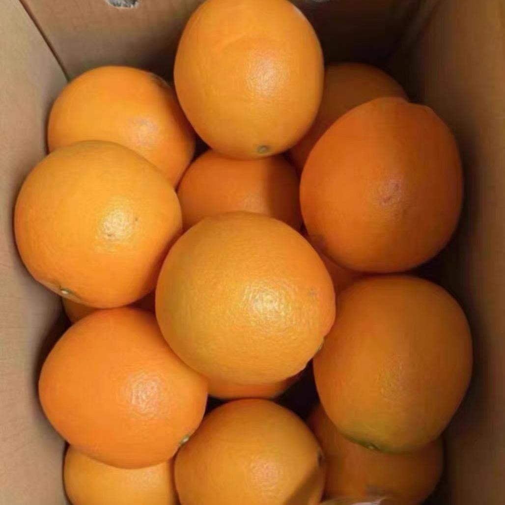 鲜优甄选77.楚隔