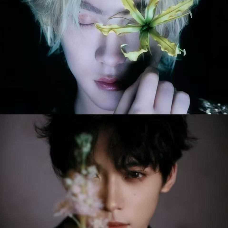 懒得改名的婷宝✨