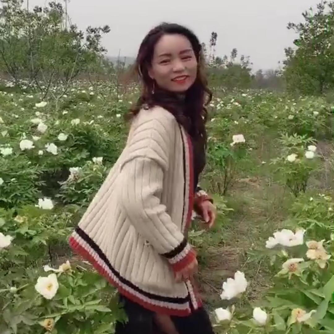 @流苏🥀