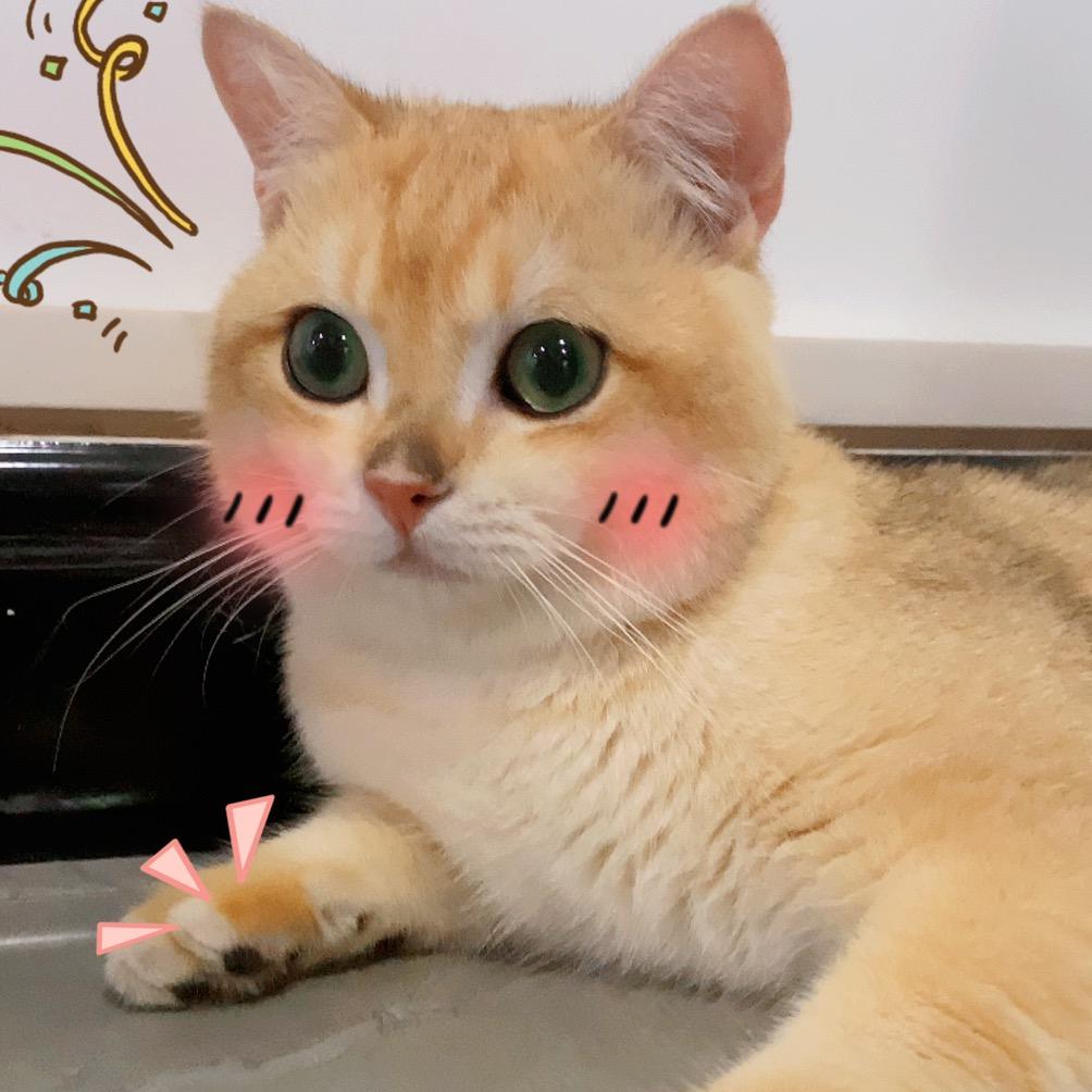 猛男板凳