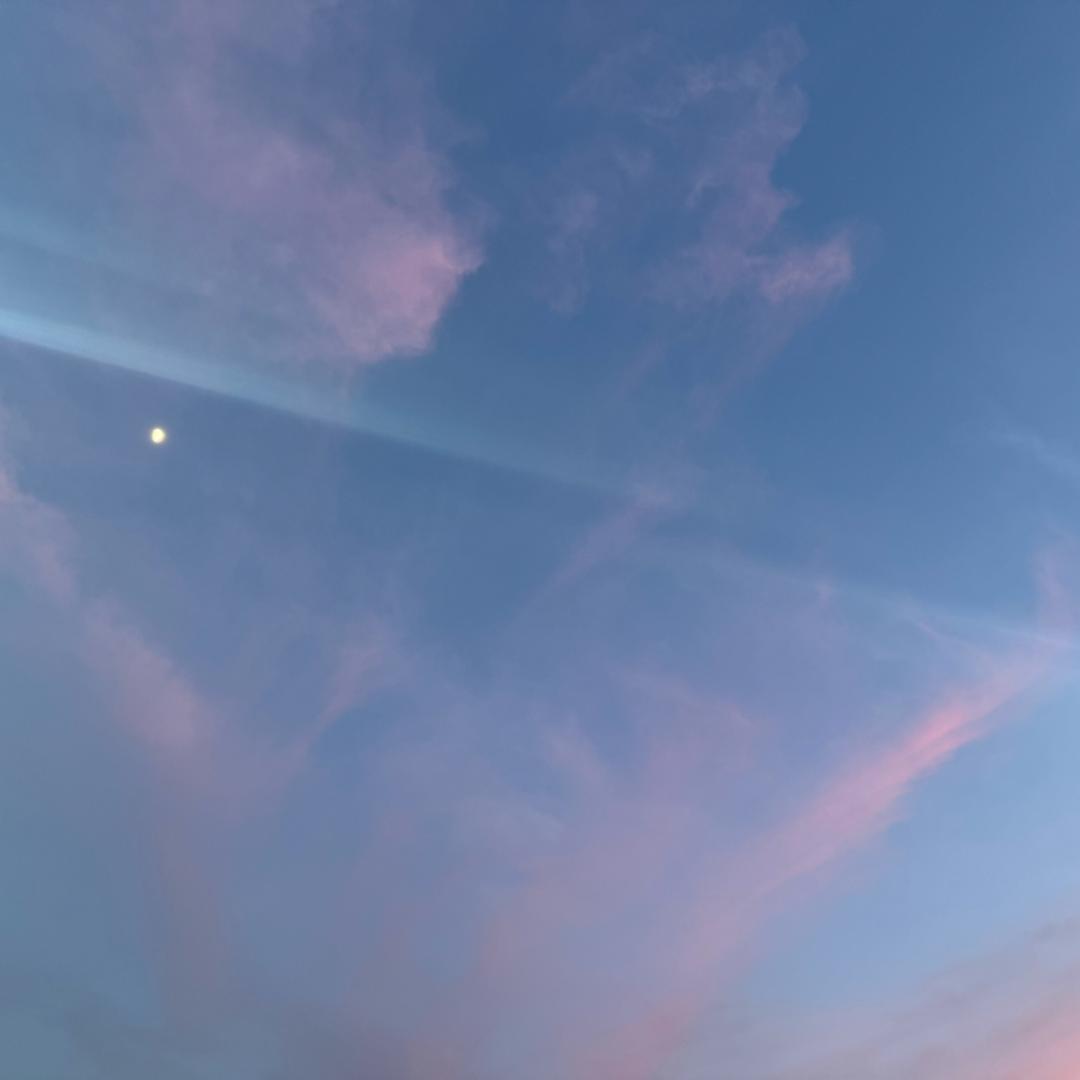 TZN面试高分学姐