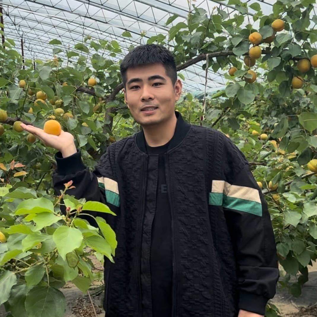 云间果集