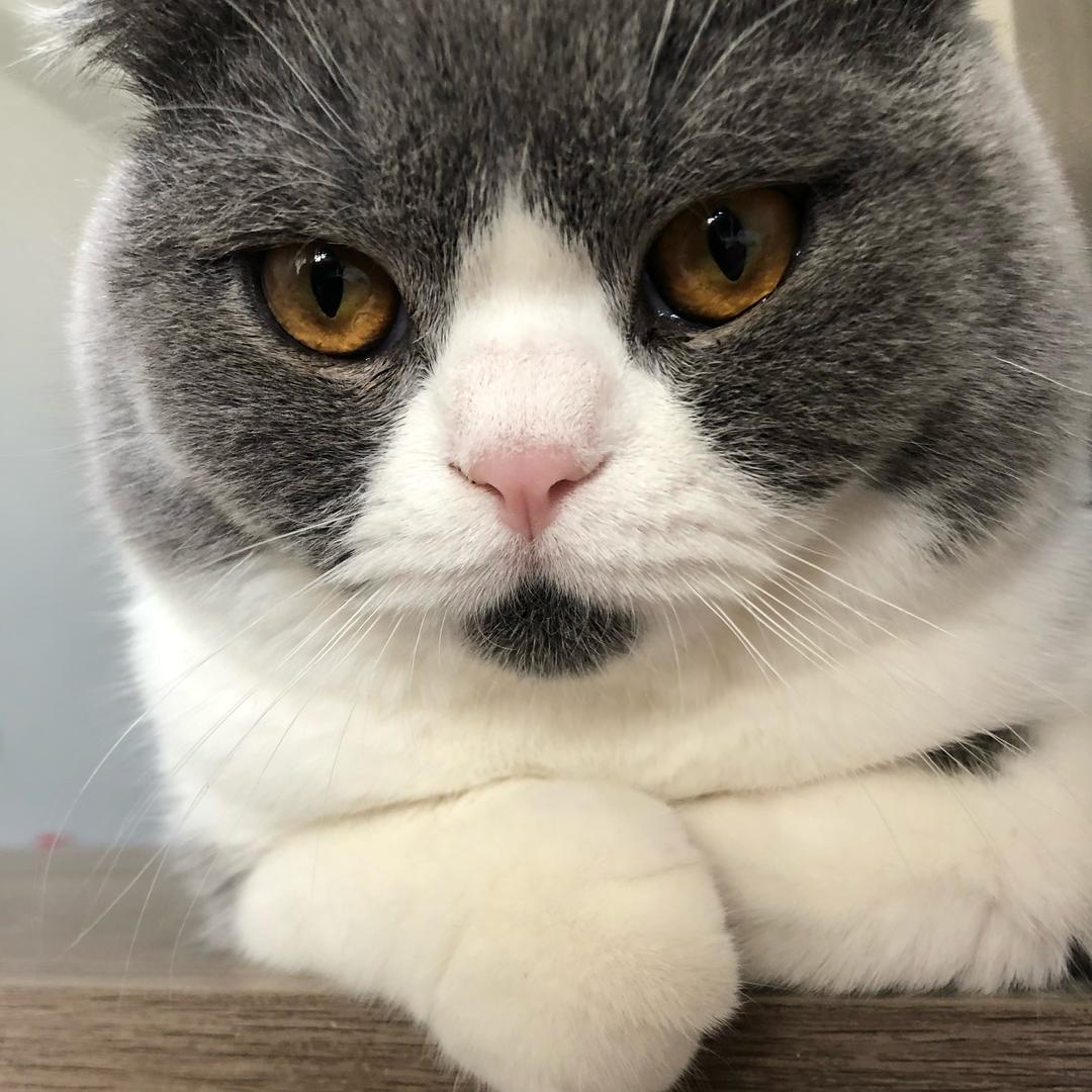Ki.