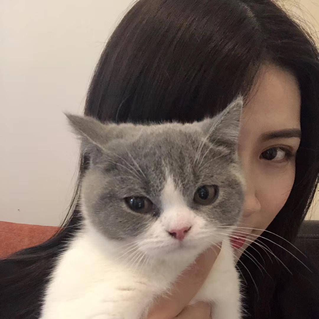 思思Ssemi🐱（再瘦8斤版）