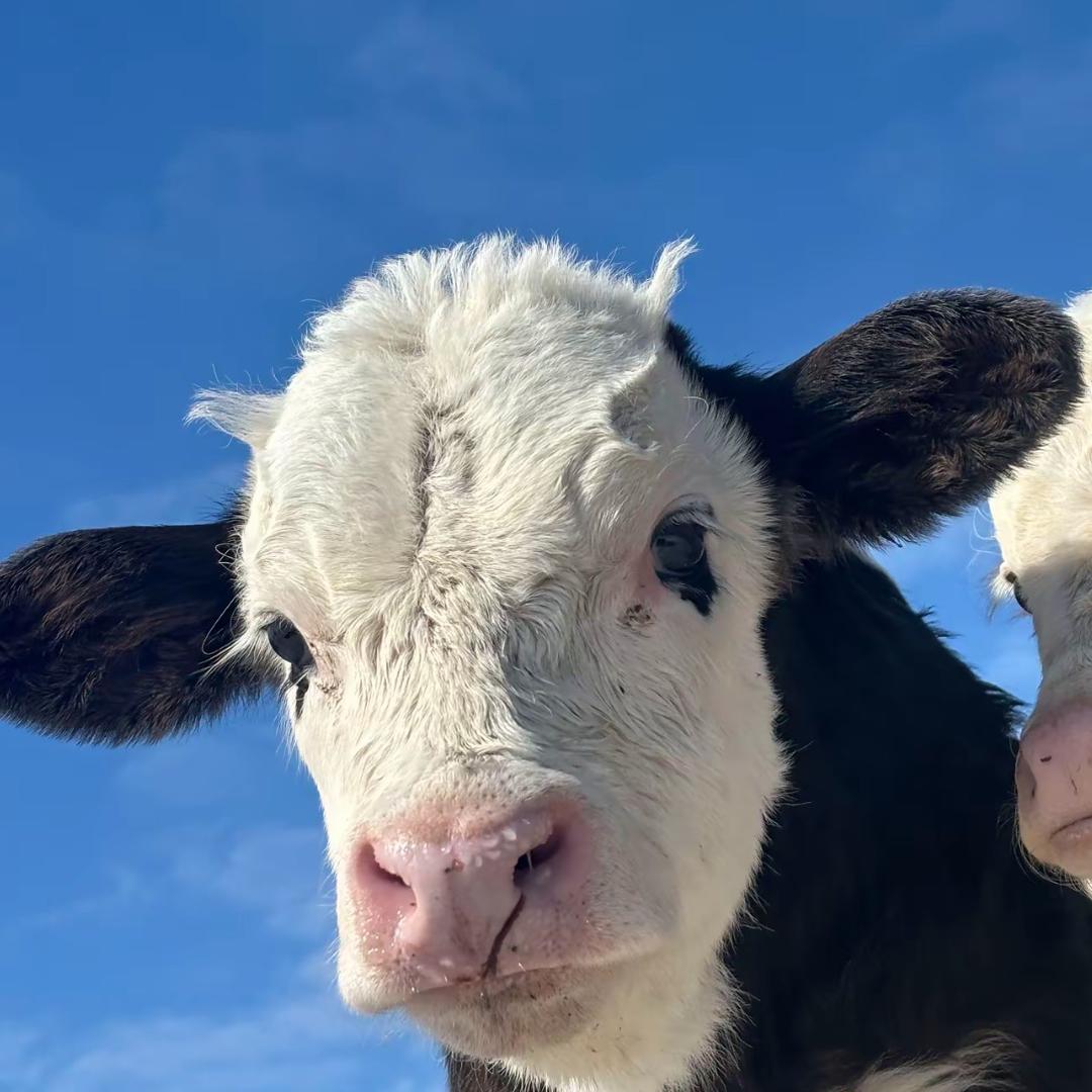 找到一件趁手的兵器