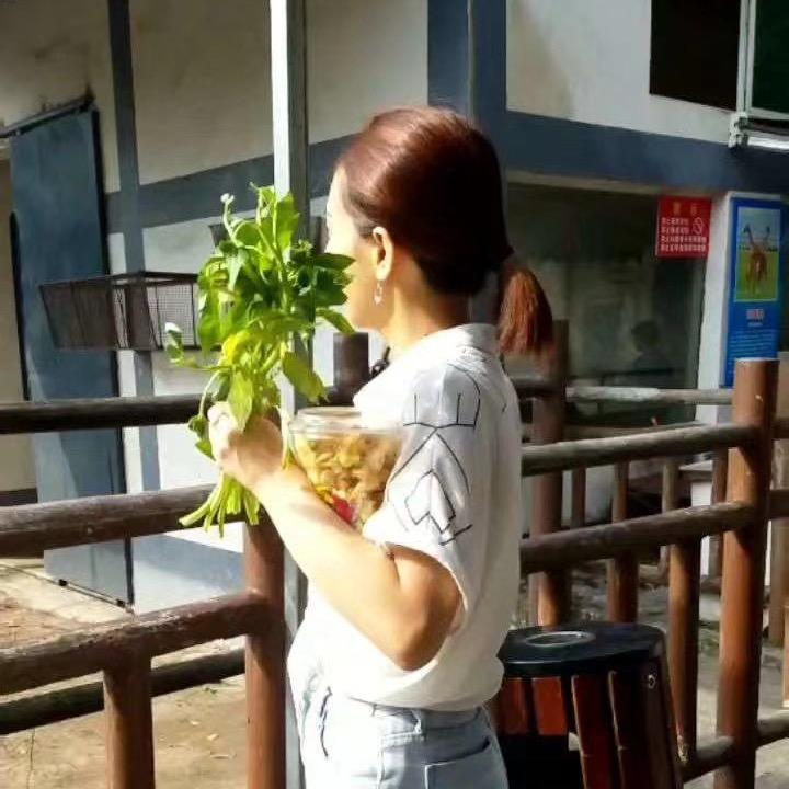 琪妹儿