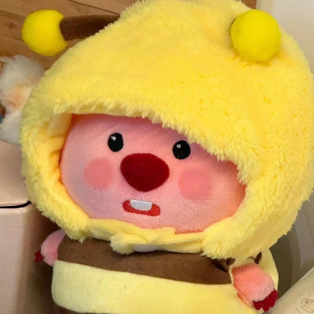 哆来Amoy