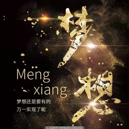 Mr卫