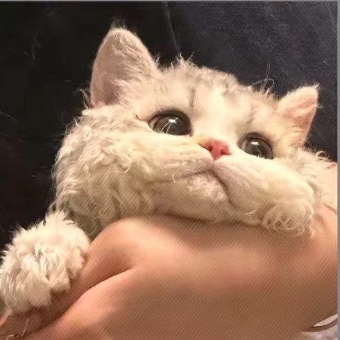 训练呐（上🚢）