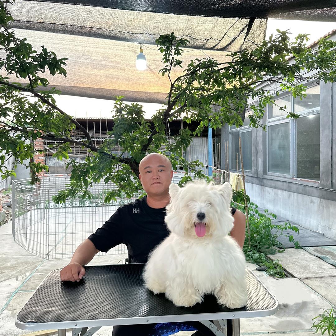 王子西高地奢宠会馆