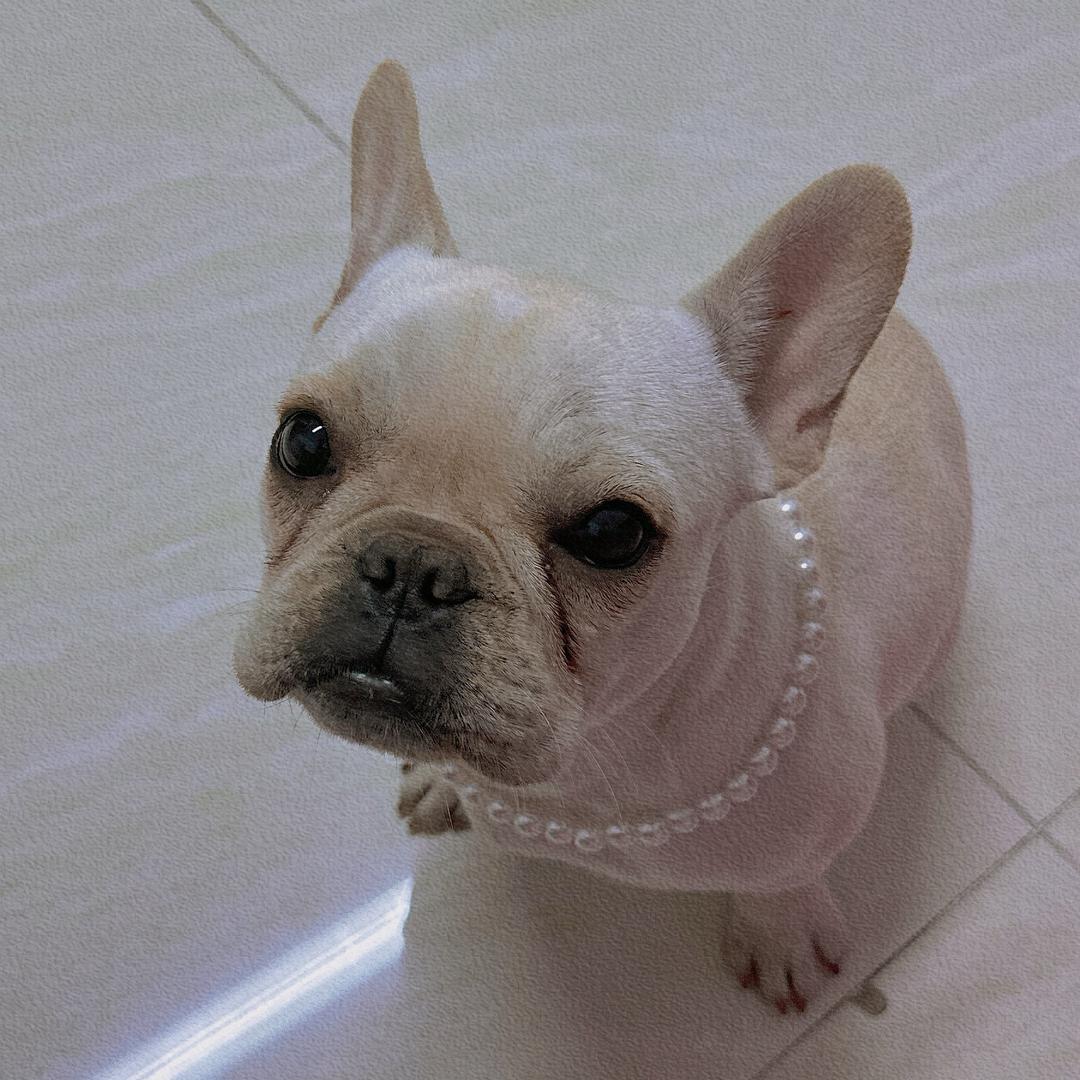 关你什么柿