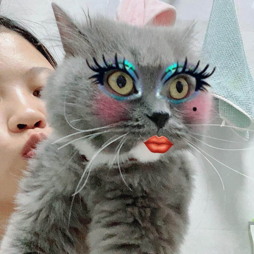 芝士涨价了