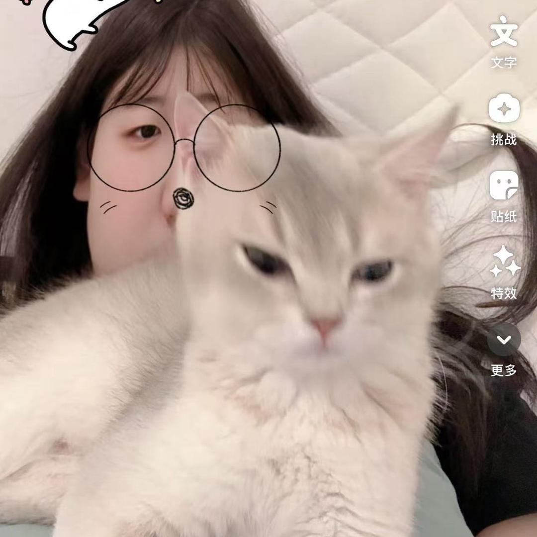 心碎女孩收留地