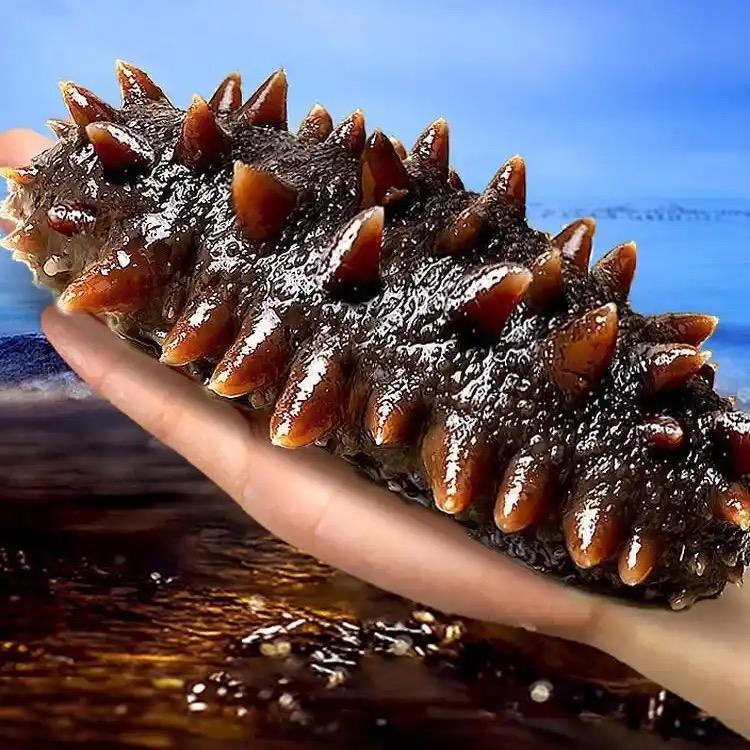 满参堂珍品优选店