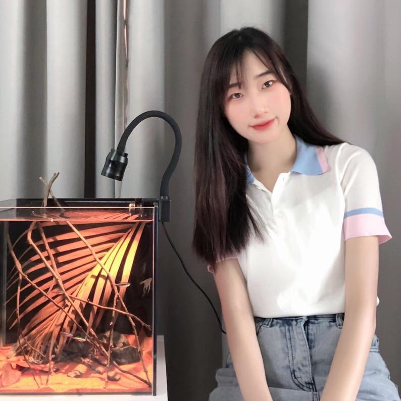 溪木岩
