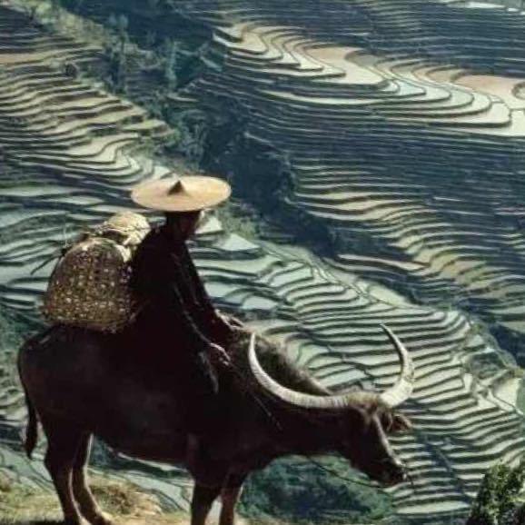 梦之战🚀🚀