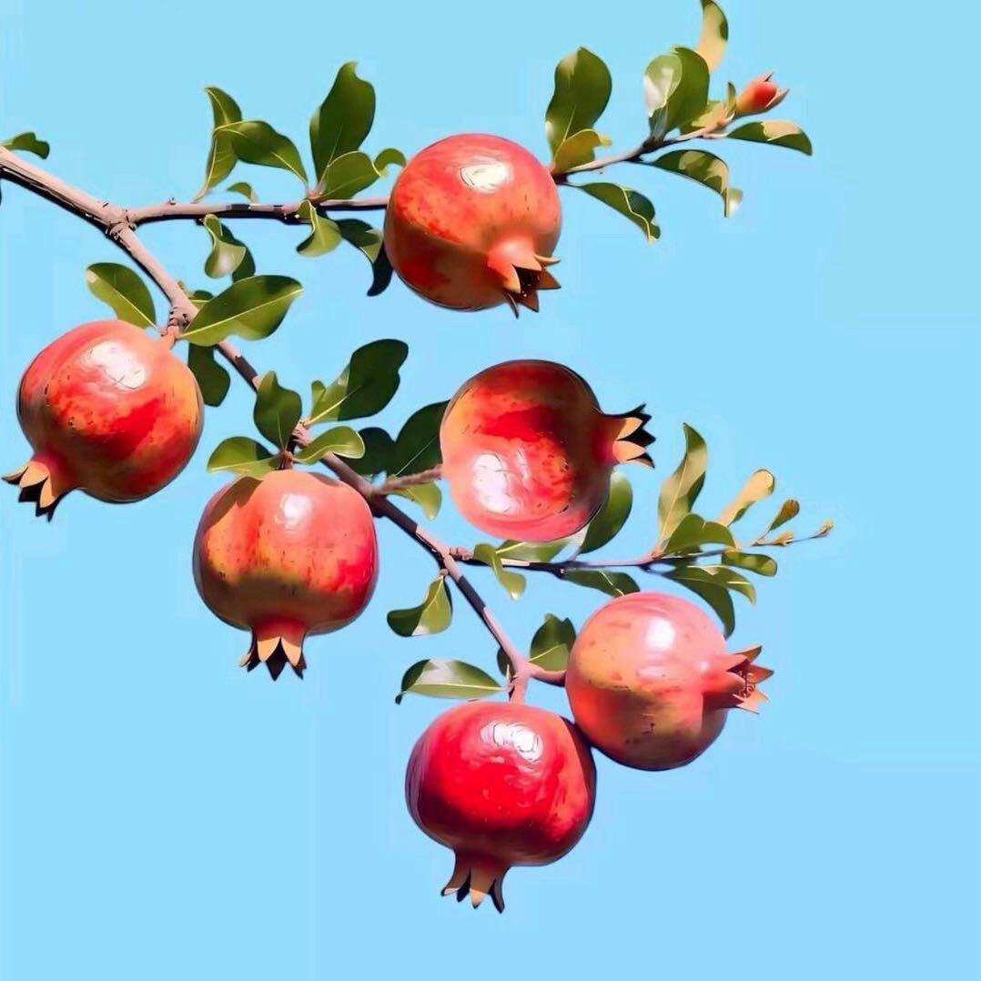 人生的剧本自己写