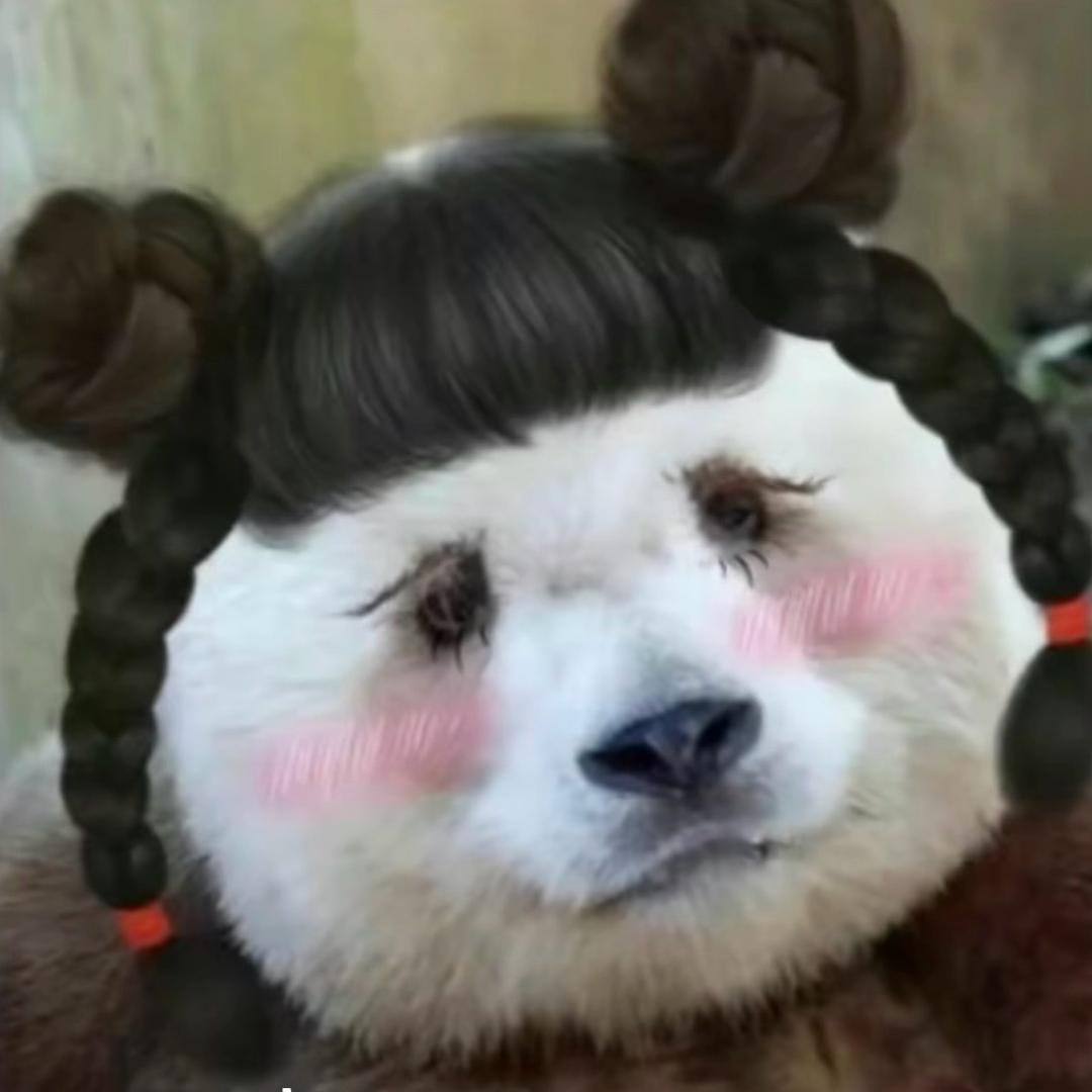 你随便