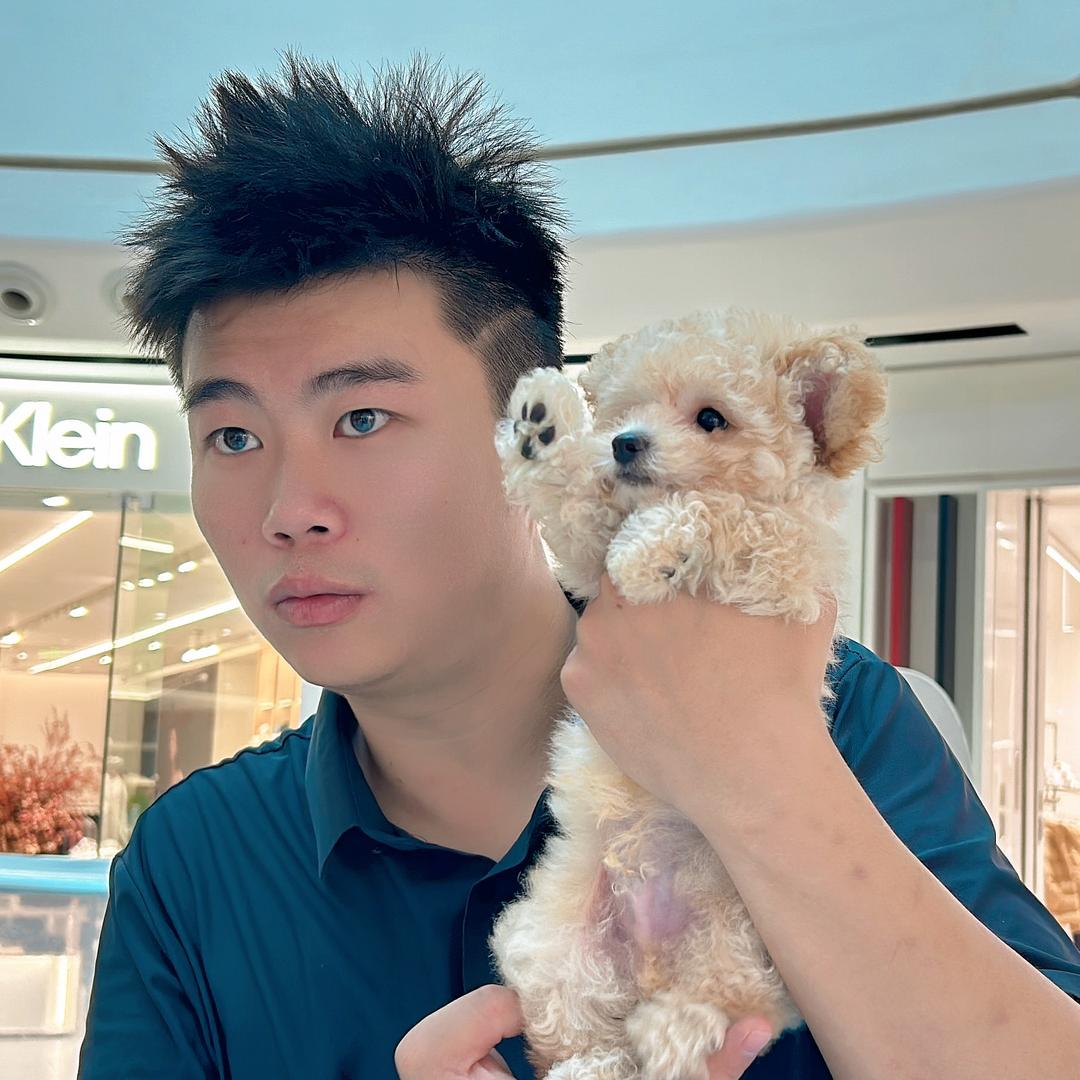 宜宾大俊龙猫三好萌宠