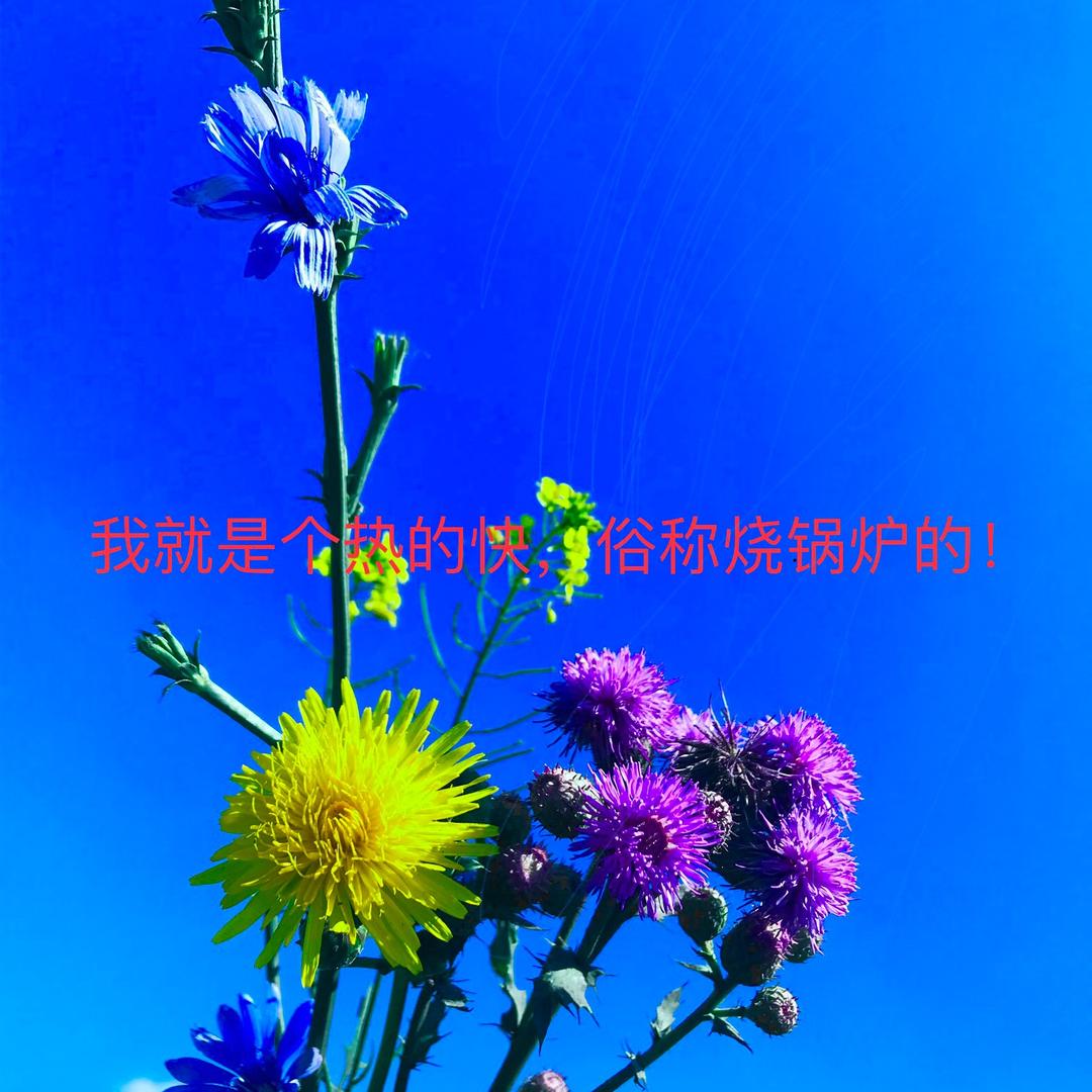 一只穿心箭308