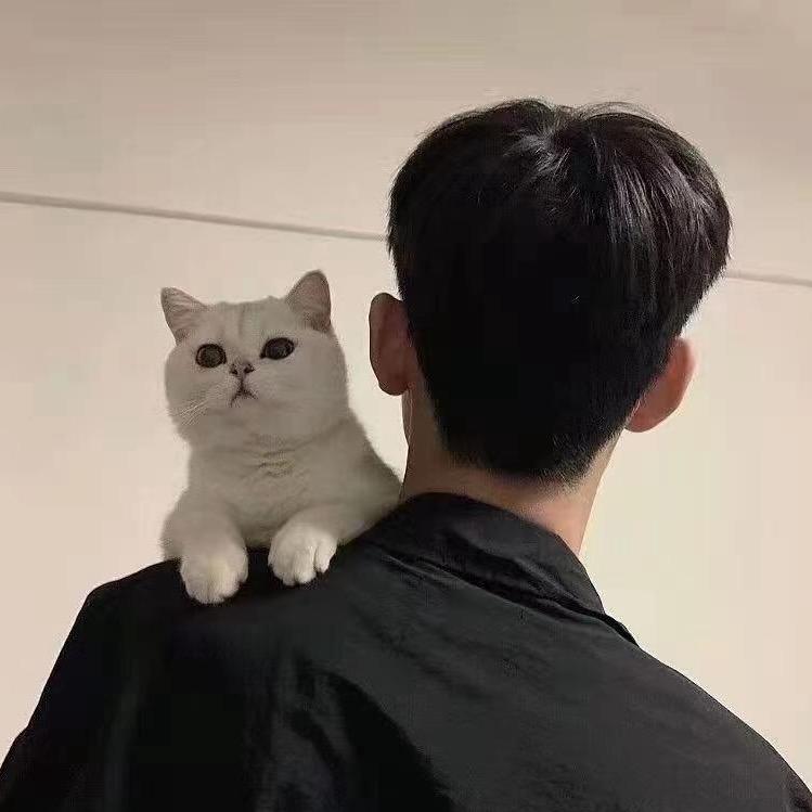 秋分