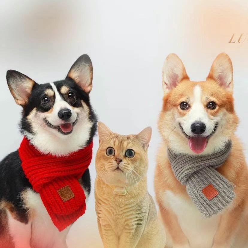 短腿基🐶🐱家族