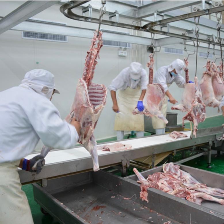 牛排排工厂