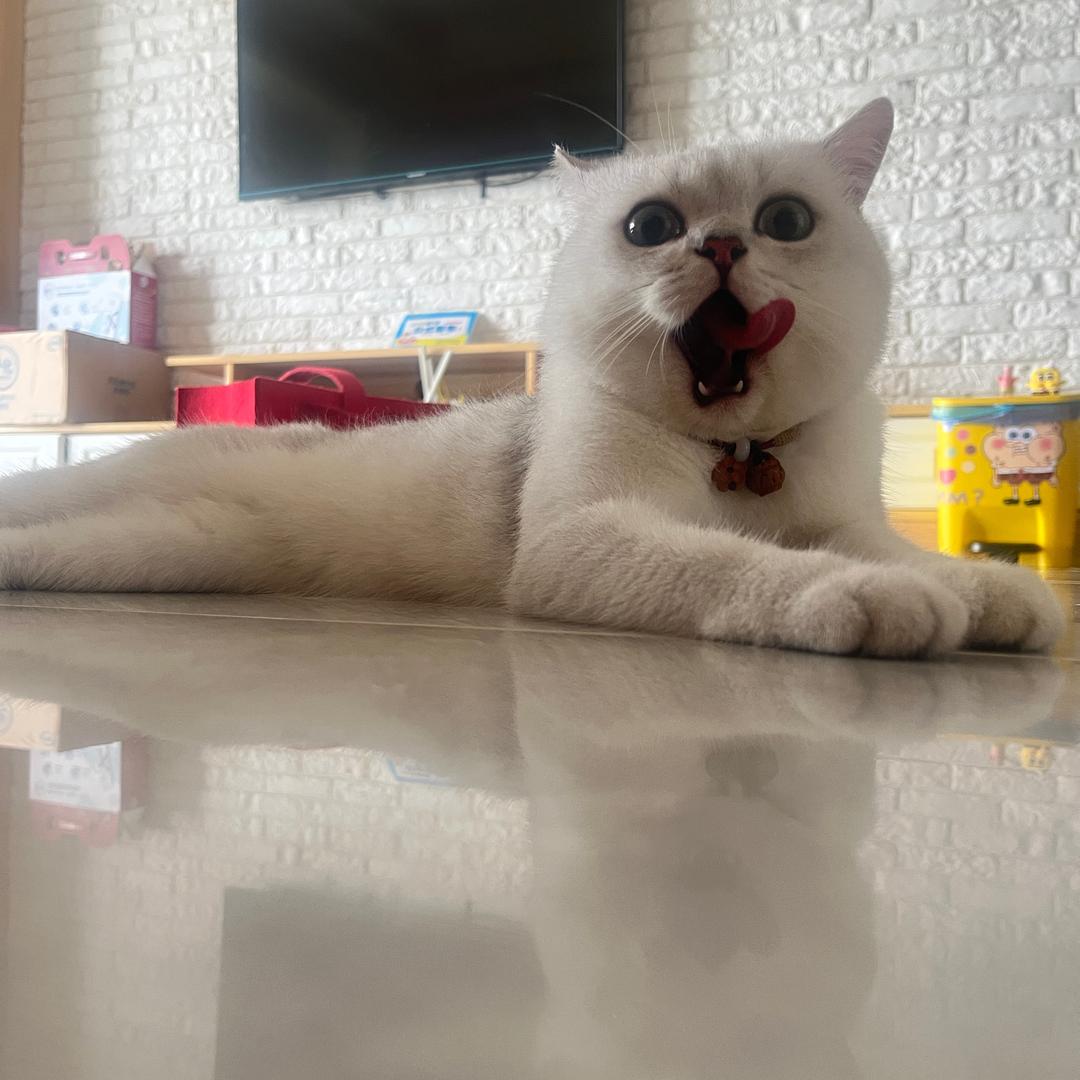 柳潇潇