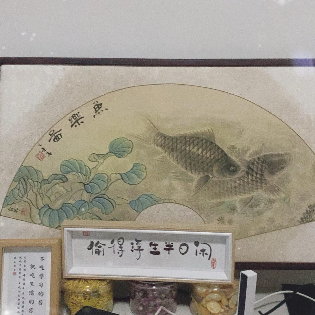 悠闲时光