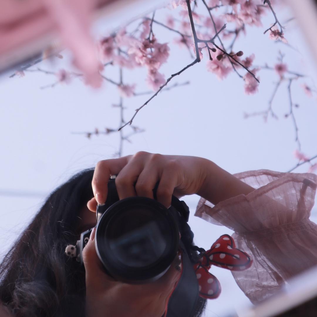 一朵小森林呀📷