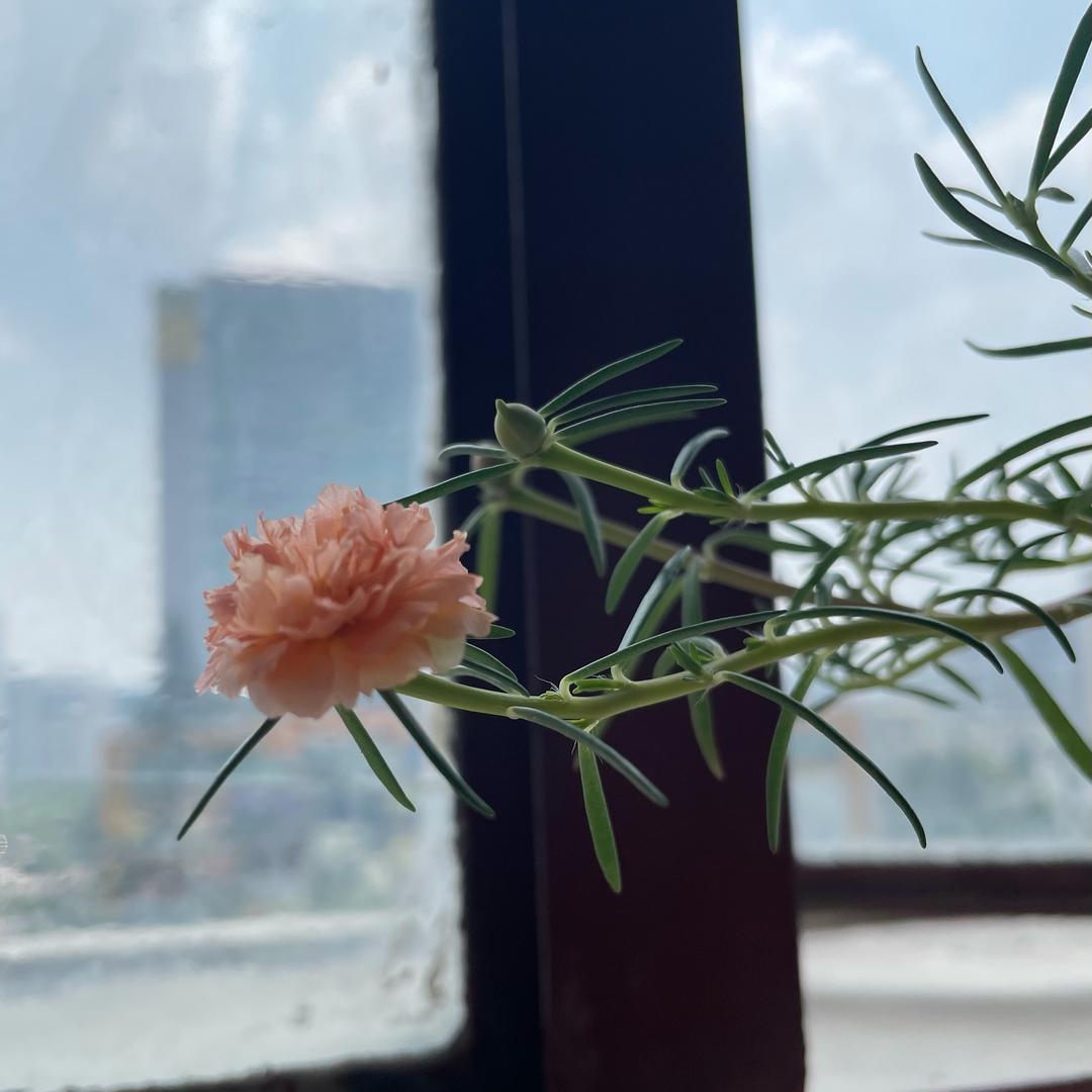 秋天的味道