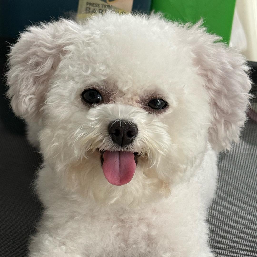 乐宝崽🐾