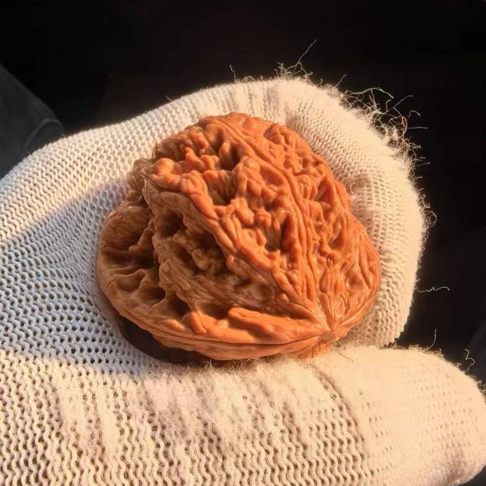 小博·喜欢刷核桃