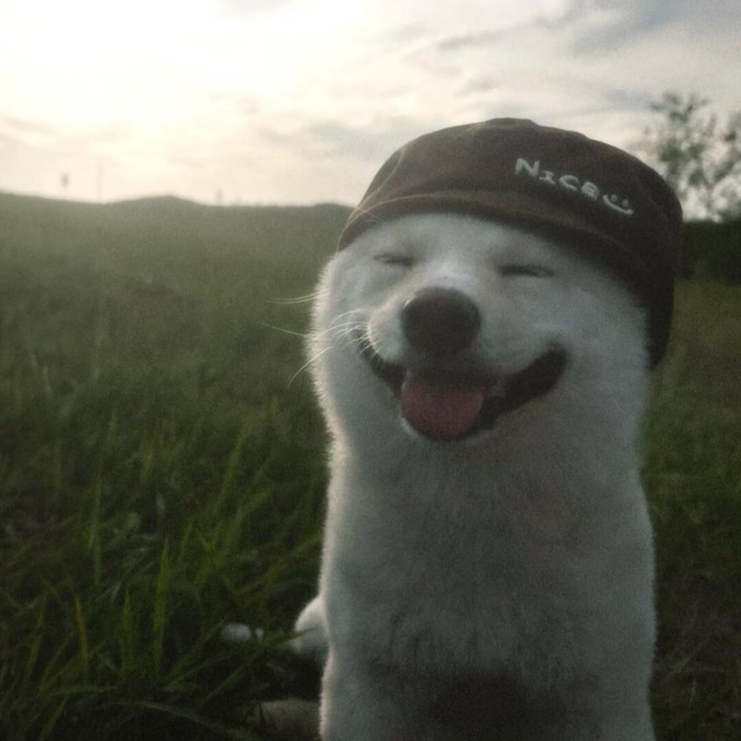 𝙋 ㅤ ㅤz ㅤ ㅤ