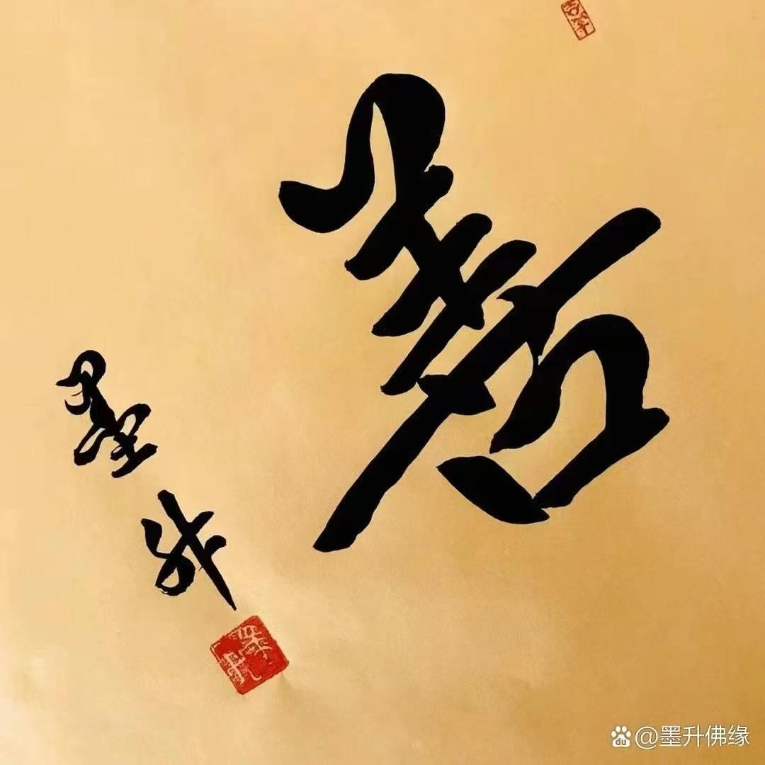 仙人掌🌵
