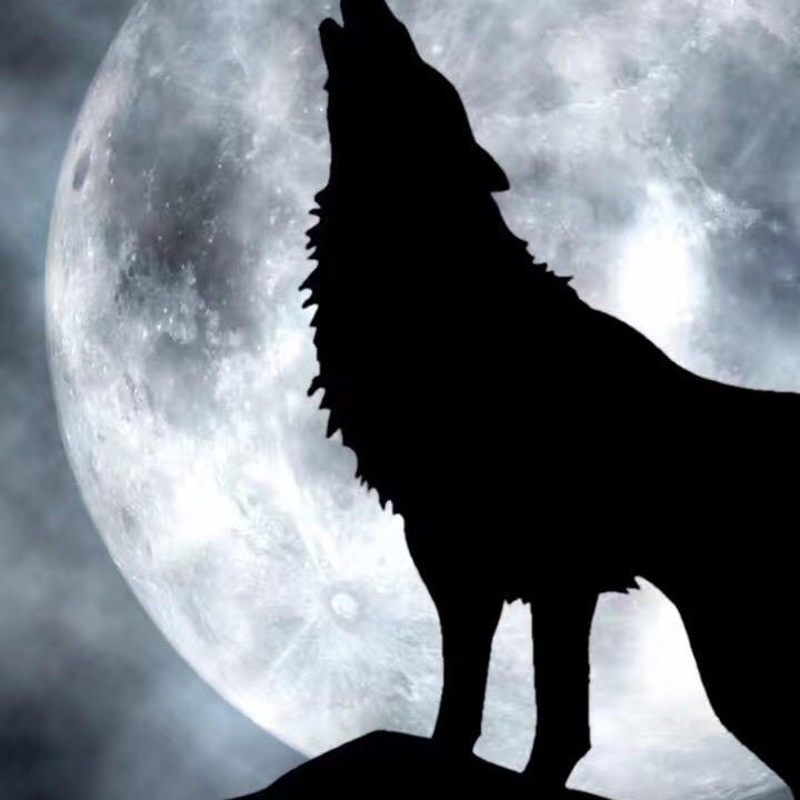 浪子𓆩♡𓆪佛心