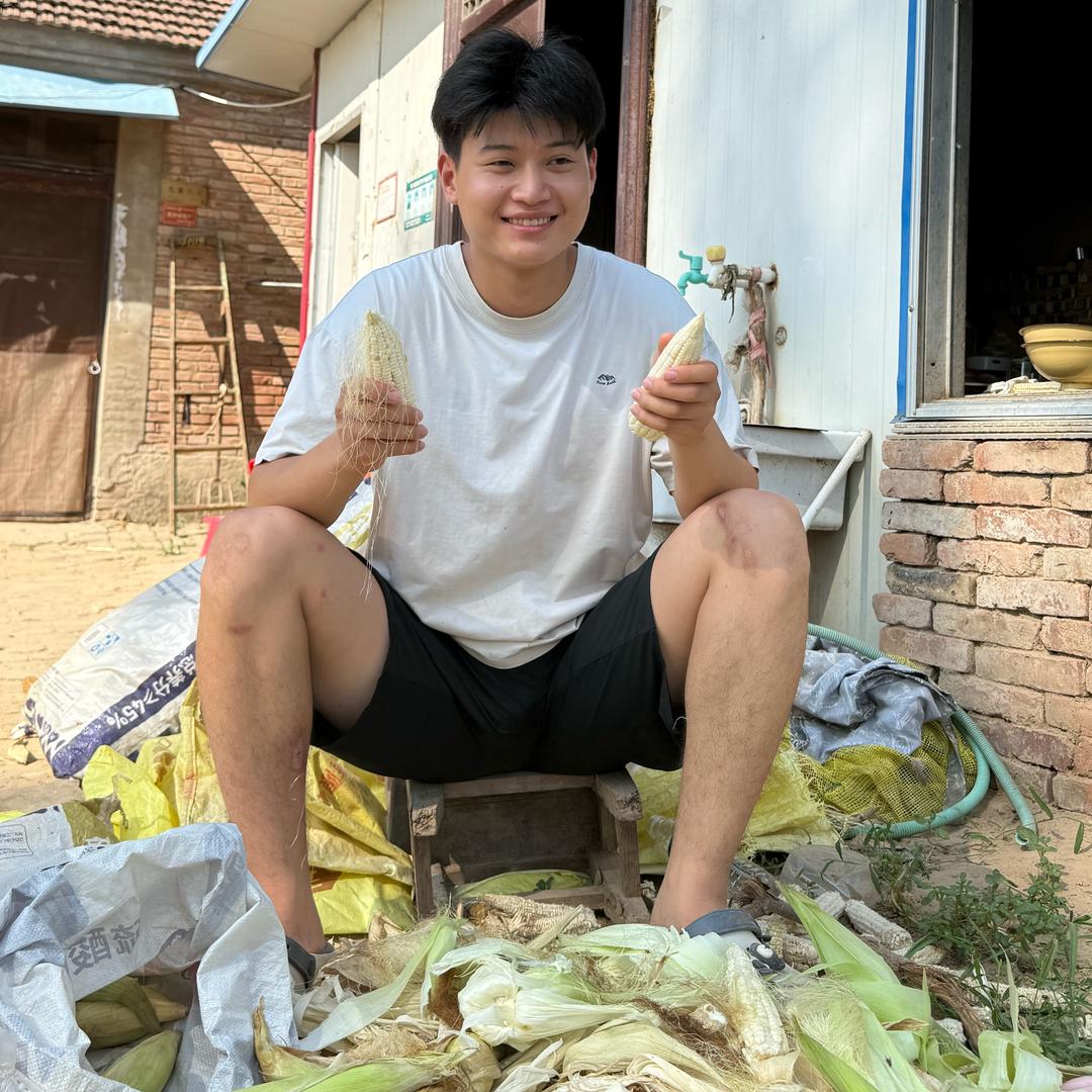 王龙的日常