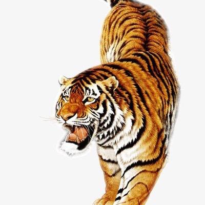 荣威国学文化