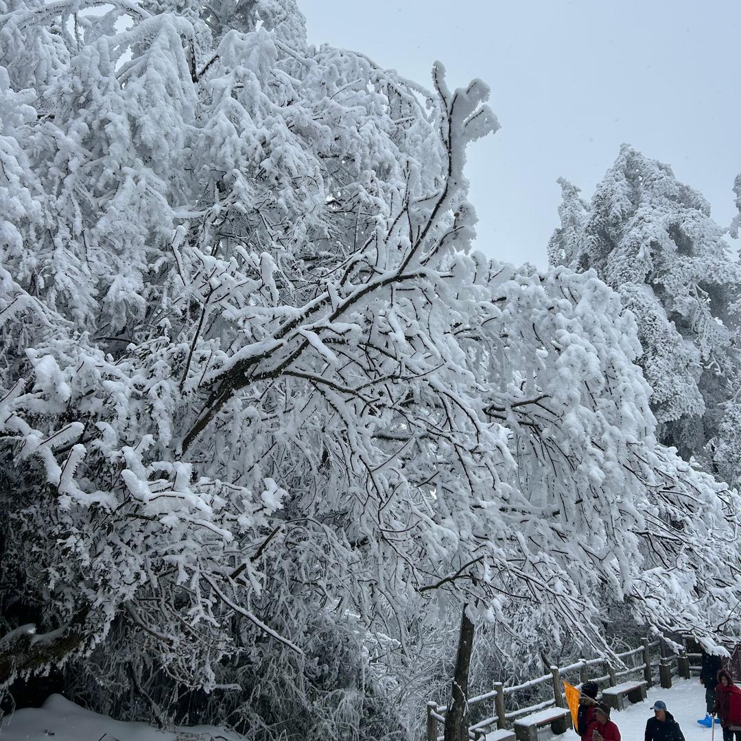 🌈 我爱吃牛肉