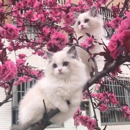 见过永远