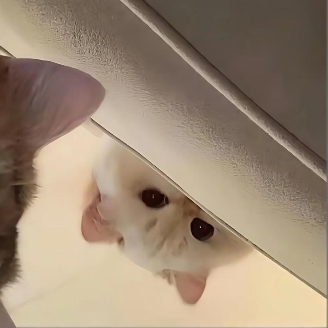 奥特曼奶奶