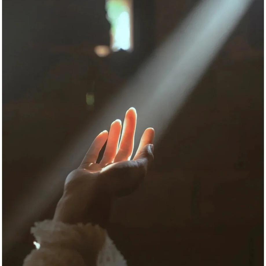 一缕阳光🌚