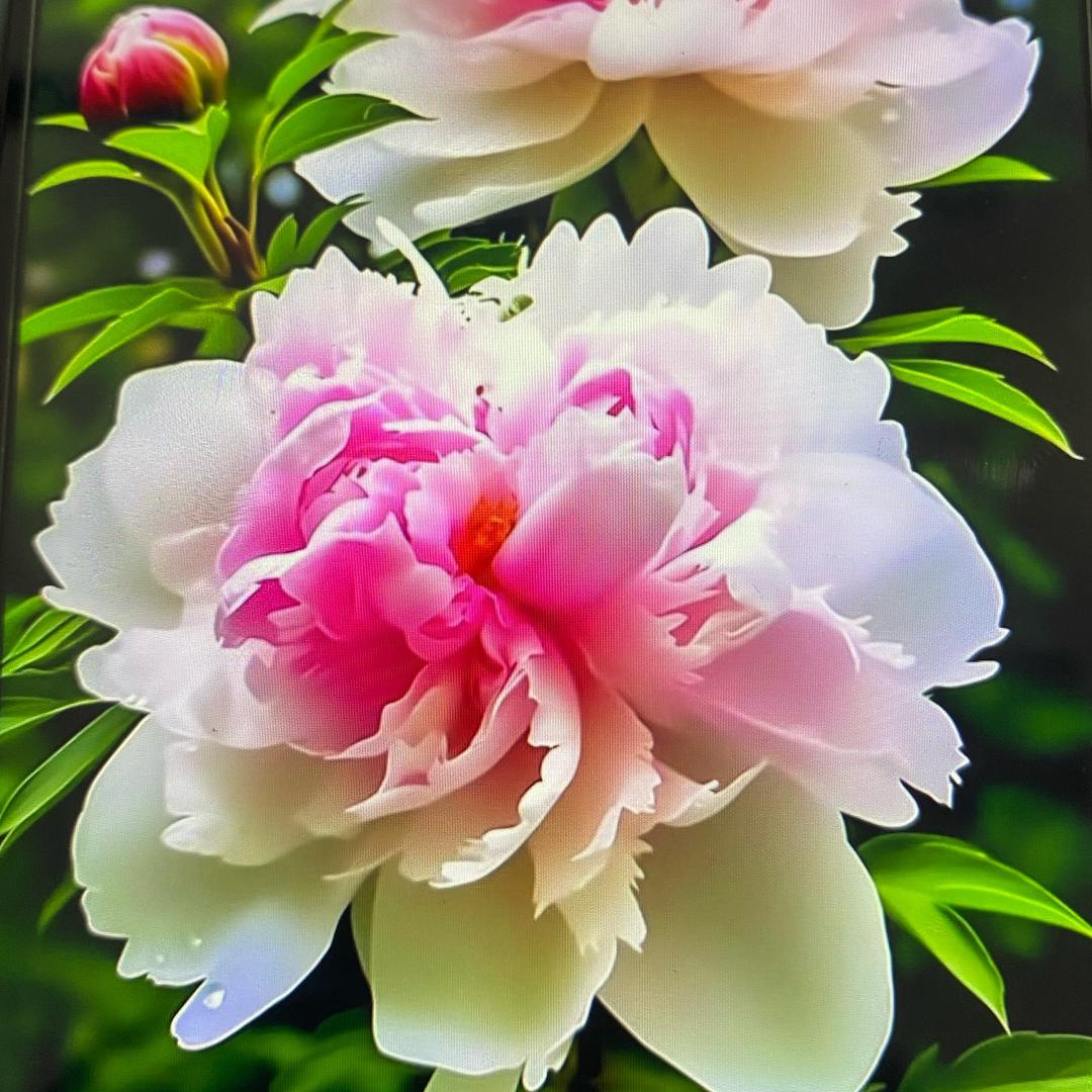 锦上添花13