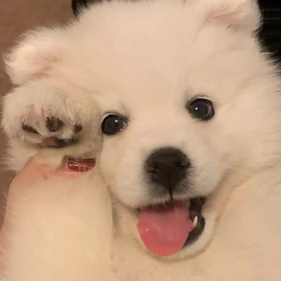 知足 .