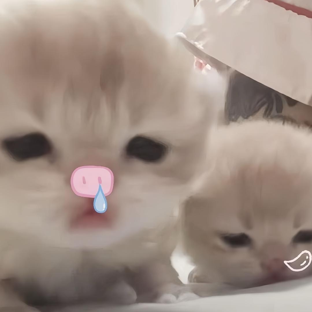 小涵降临