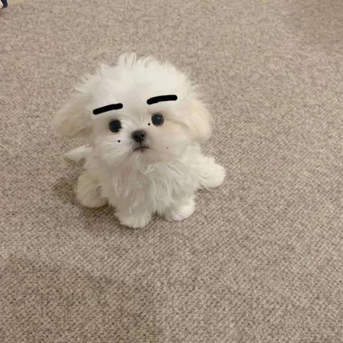 本王青草蛋糕呢