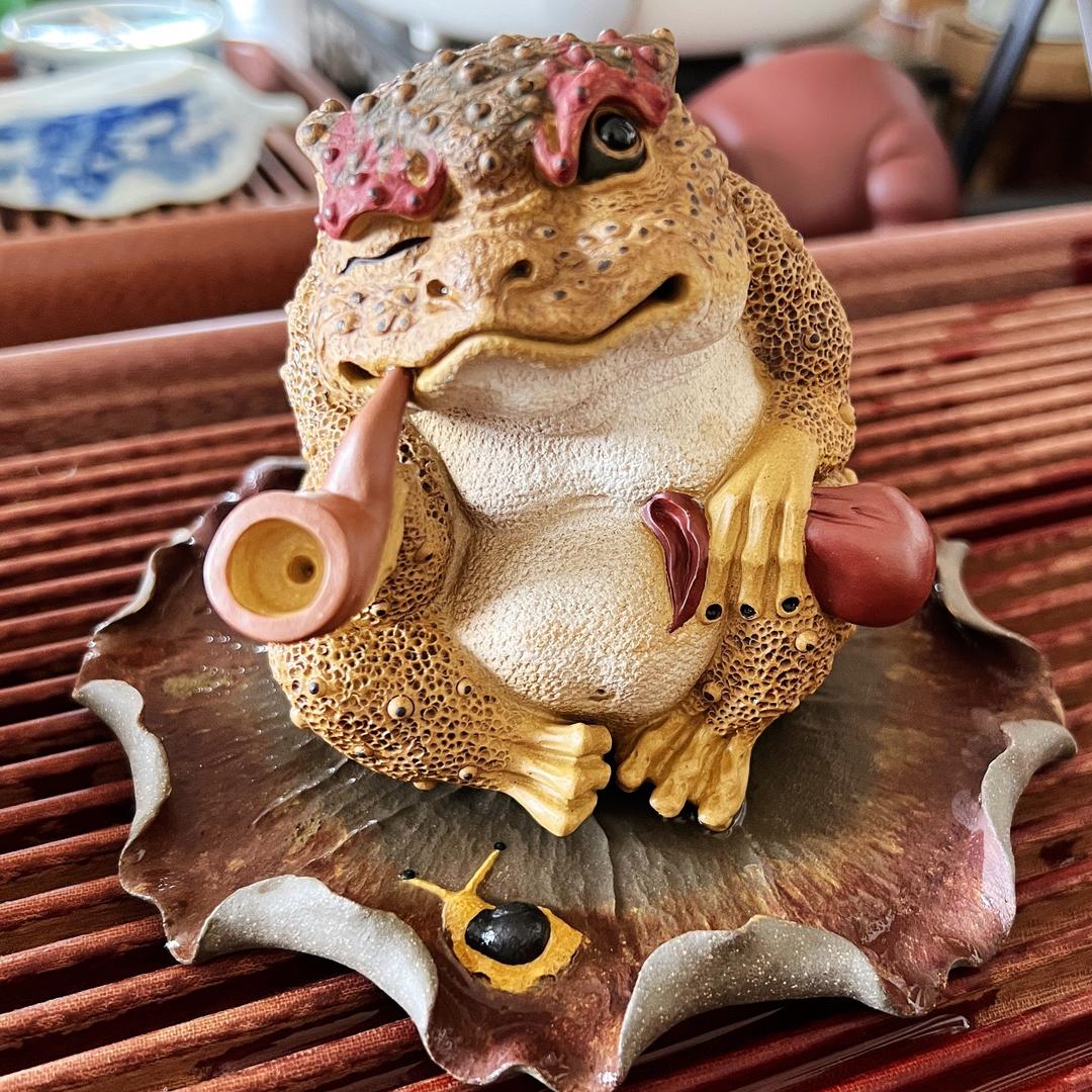 ༺小兜兜༻